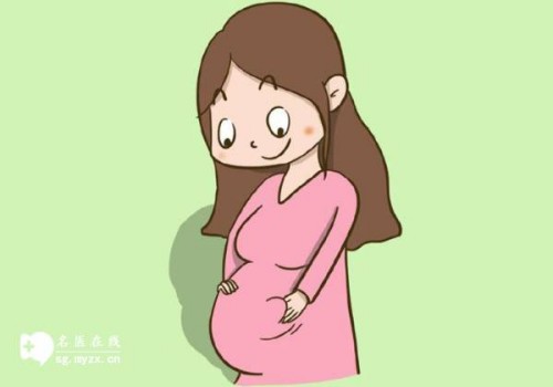 试管婴儿移植并不是胚胎数量越多越好，更重要的是胚胎质量