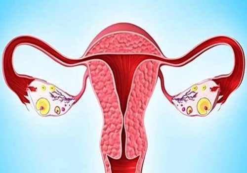 揭阳助孕机构：乌克兰供精试管婴儿技术不仅能生儿子，还可以预防遗传病