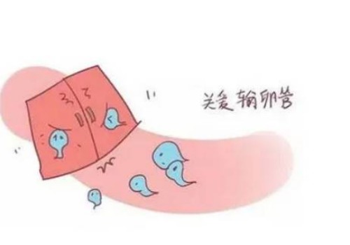 宫腔环境主要进行妇科内检，检查方式一次性讲清