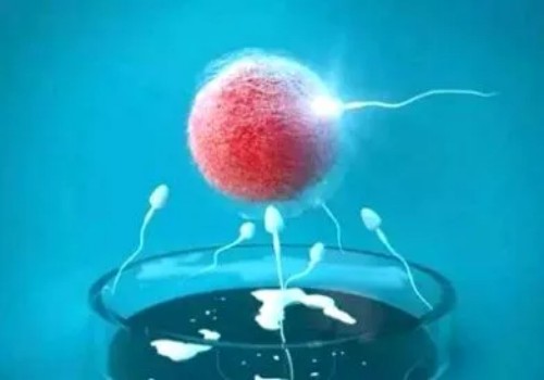 结婚多年难孕难育夫妻进行试管婴儿助孕应该要怎么做-